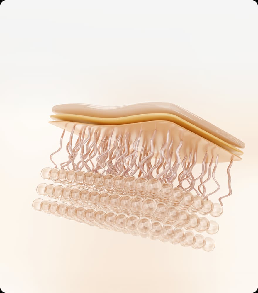 트리클 카드 배경